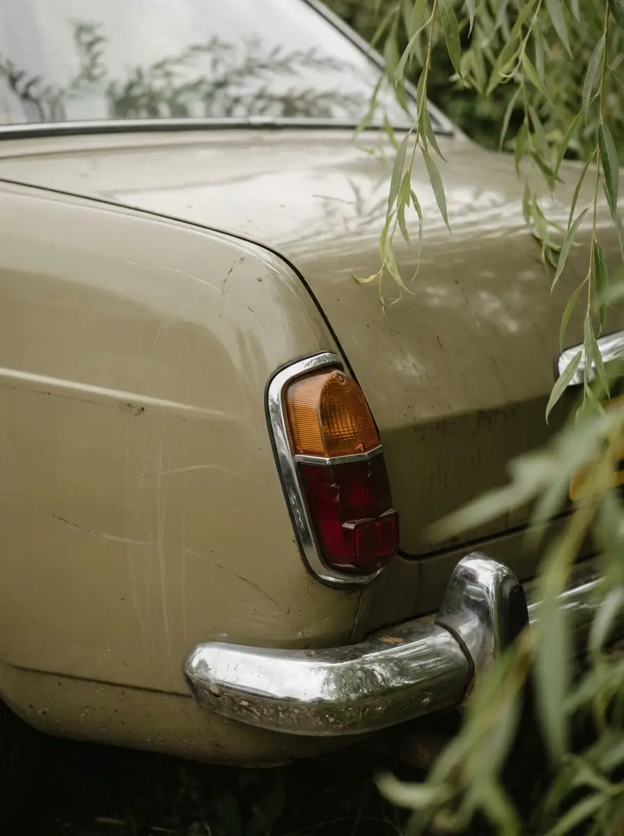 Rear corner of a classic beige car with a chrome-trimmed tail light, framed by willow leaves.